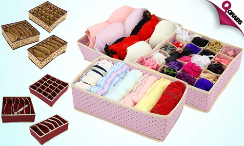 Foldable Innerwear Organizer!